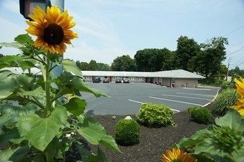 Clinton Motel Екстер'єр фото